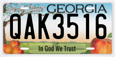 GA license plate QAK3516
