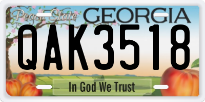 GA license plate QAK3518