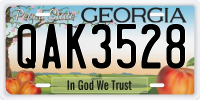 GA license plate QAK3528