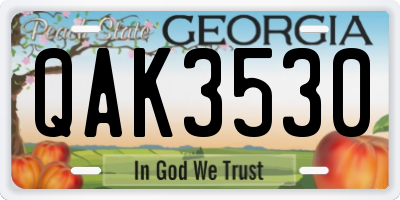 GA license plate QAK3530