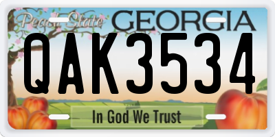 GA license plate QAK3534