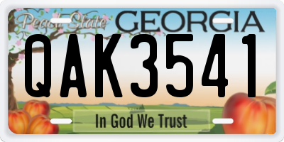 GA license plate QAK3541