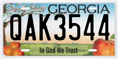 GA license plate QAK3544
