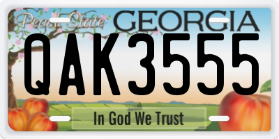 GA license plate QAK3555