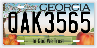 GA license plate QAK3565