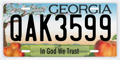 GA license plate QAK3599