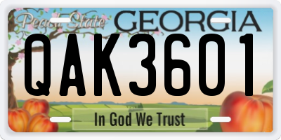GA license plate QAK3601