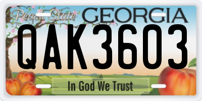 GA license plate QAK3603
