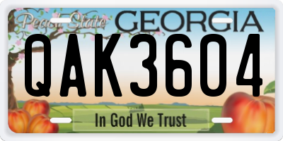 GA license plate QAK3604