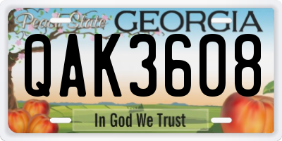 GA license plate QAK3608