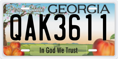 GA license plate QAK3611