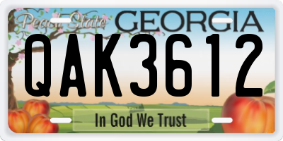 GA license plate QAK3612