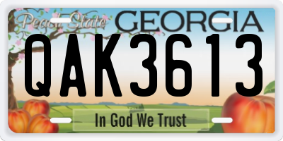 GA license plate QAK3613