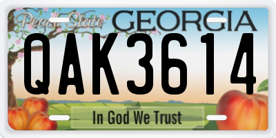 GA license plate QAK3614