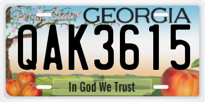 GA license plate QAK3615