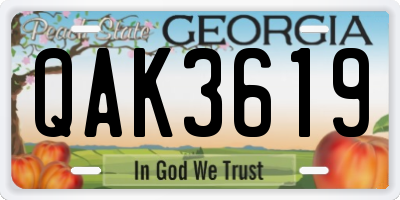 GA license plate QAK3619