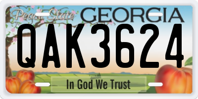 GA license plate QAK3624