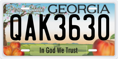 GA license plate QAK3630