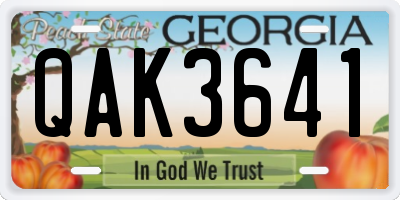 GA license plate QAK3641