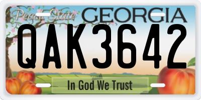 GA license plate QAK3642