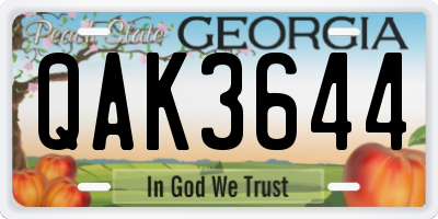 GA license plate QAK3644