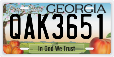GA license plate QAK3651