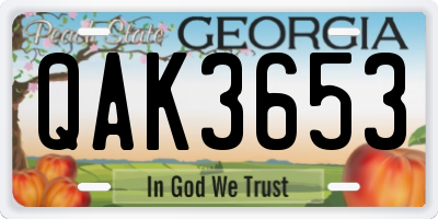 GA license plate QAK3653
