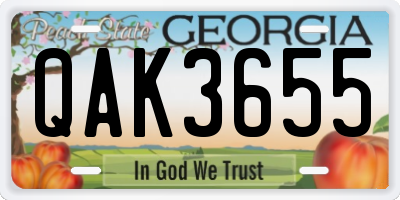 GA license plate QAK3655