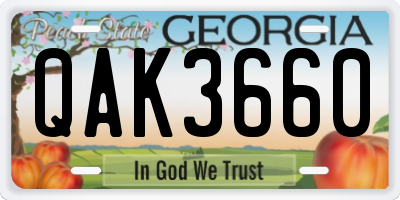 GA license plate QAK3660
