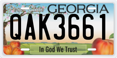 GA license plate QAK3661