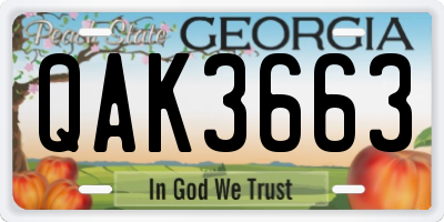 GA license plate QAK3663
