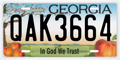GA license plate QAK3664
