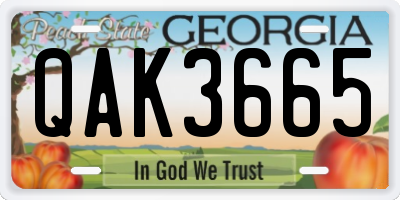 GA license plate QAK3665