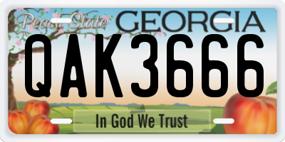 GA license plate QAK3666