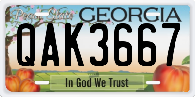 GA license plate QAK3667