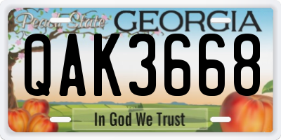 GA license plate QAK3668