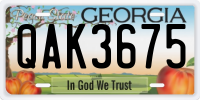 GA license plate QAK3675