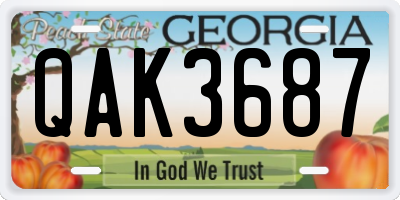 GA license plate QAK3687