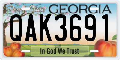 GA license plate QAK3691