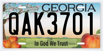 GA license plate QAK3701