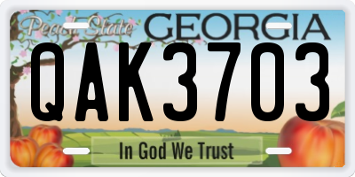 GA license plate QAK3703