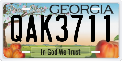 GA license plate QAK3711