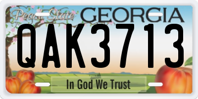 GA license plate QAK3713