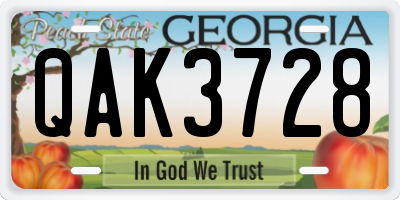 GA license plate QAK3728