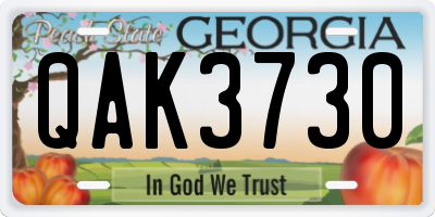 GA license plate QAK3730