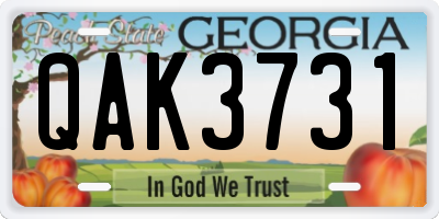 GA license plate QAK3731