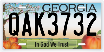 GA license plate QAK3732