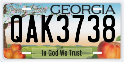 GA license plate QAK3738