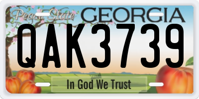 GA license plate QAK3739
