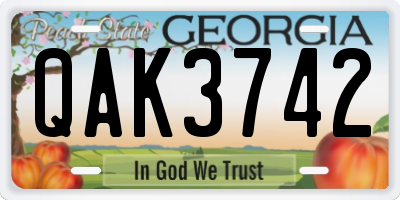 GA license plate QAK3742